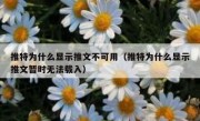 推特为什么显示推文不可用（推特为什么显示推文暂时无法载入）