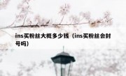 ins买粉丝大概多少钱（ins买粉丝会封号吗）