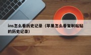ins怎么看历史记录（苹果怎么看复制粘贴的历史记录）