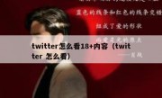 twitter怎么看18+内容（twitter 怎么看）