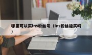 哪里可以买ins粉丝号（ins粉丝能买吗）