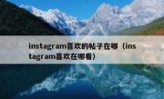 instagram喜欢的帖子在哪（instagram喜欢在哪看）