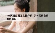 Ins买粉丝是怎么操作的（ins买粉会被看出来吗）