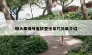 输入车牌号直接查违章的简单介绍
