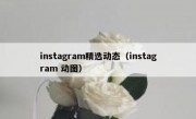 instagram精选动态（instagram 动图）