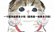一个服务器要多少钱（服务器一般要多少钱）