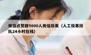 微信点赞群5000人微信投票（人工投票团队24小时在线）