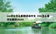 ins评论怎么看翻译成中文（ins怎么看评论翻译2020）