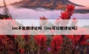 ins不能删评论吗（ins可以删评论吗）