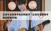 公交车怎样用手机扫码支付（公交车怎样用手机扫码支付钱）