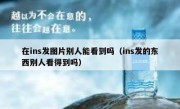 在ins发图片别人能看到吗（ins发的东西别人看得到吗）