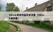 tiktok发布作品没有流量（tiktok播放量）