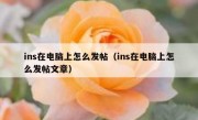 ins在电脑上怎么发帖（ins在电脑上怎么发帖文章）