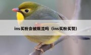 ins买粉会被限流吗（ins买粉买赞）
