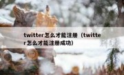 twitter怎么才能注册（twitter怎么才能注册成功）