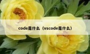 code是什么（vscode是什么）