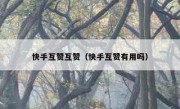 快手互赞互赞（快手互赞有用吗）