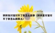 转转支付宝付不了款怎么回事（转转支付宝付不了款怎么回事儿）