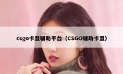 csgo卡盟辅助平台（CSGO辅助卡盟）