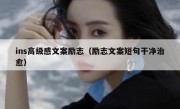 ins高级感文案励志（励志文案短句干净治愈）