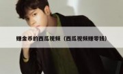 赚金币的西瓜视频（西瓜视频赚零钱）