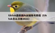 tiktok最新国内创建账号教程（tiktok怎么注册2021）