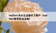 twitter为什么注册不了账户（twitter账号无法注册）