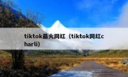 tiktok最火网红（tiktok网红charli）