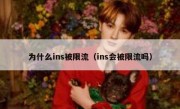 为什么ins被限流（ins会被限流吗）