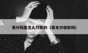 易付码是怎么付款的（易支付收款码）