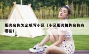 服务名称怎么填写小区（小区服务机构名称有哪些）