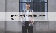 有twitter吗（张娜英有twitter吗）