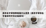 派币名字审核教程是什么意思（派币中审核名字是填写中文还是英文）