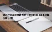 派币注册流程图片大全下载手机版（派币怎样注册认证）