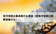 支付宝接口集成有什么用途（接支付宝接口需要准备什么）