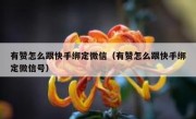 有赞怎么跟快手绑定微信（有赞怎么跟快手绑定微信号）