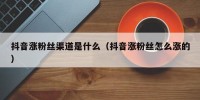 抖音涨粉丝渠道是什么（抖音涨粉丝怎么涨的）