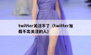 twitter关注不了（twitter加载不出关注的人）