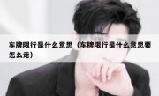 车牌限行是什么意思（车牌限行是什么意思要怎么走）