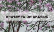 支付宝收款码平台（支付宝网上收款码）