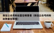 微信公众号粉丝量在哪里看（微信公众号的粉丝数量在哪看）