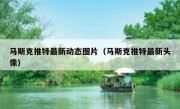 马斯克推特最新动态图片（马斯克推特最新头像）
