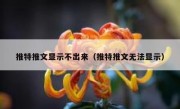 推特推文显示不出来（推特推文无法显示）