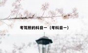 考驾照的科目一（考科目一）