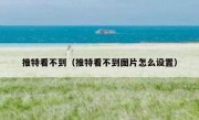 推特看不到（推特看不到图片怎么设置）