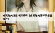 点赞加关注能挣到钱吗（点赞加关注等于暴富图片）