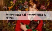 ins限时动态怎么看（ins限时动态怎么看评论）
