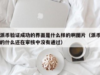 派币验证成功的界面是什么样的啊图片（派币的什么还在审核中没有通过）