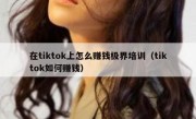 在tiktok上怎么赚钱极界培训（tiktok如何赚钱）