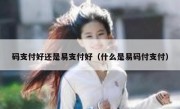 码支付好还是易支付好（什么是易码付支付）